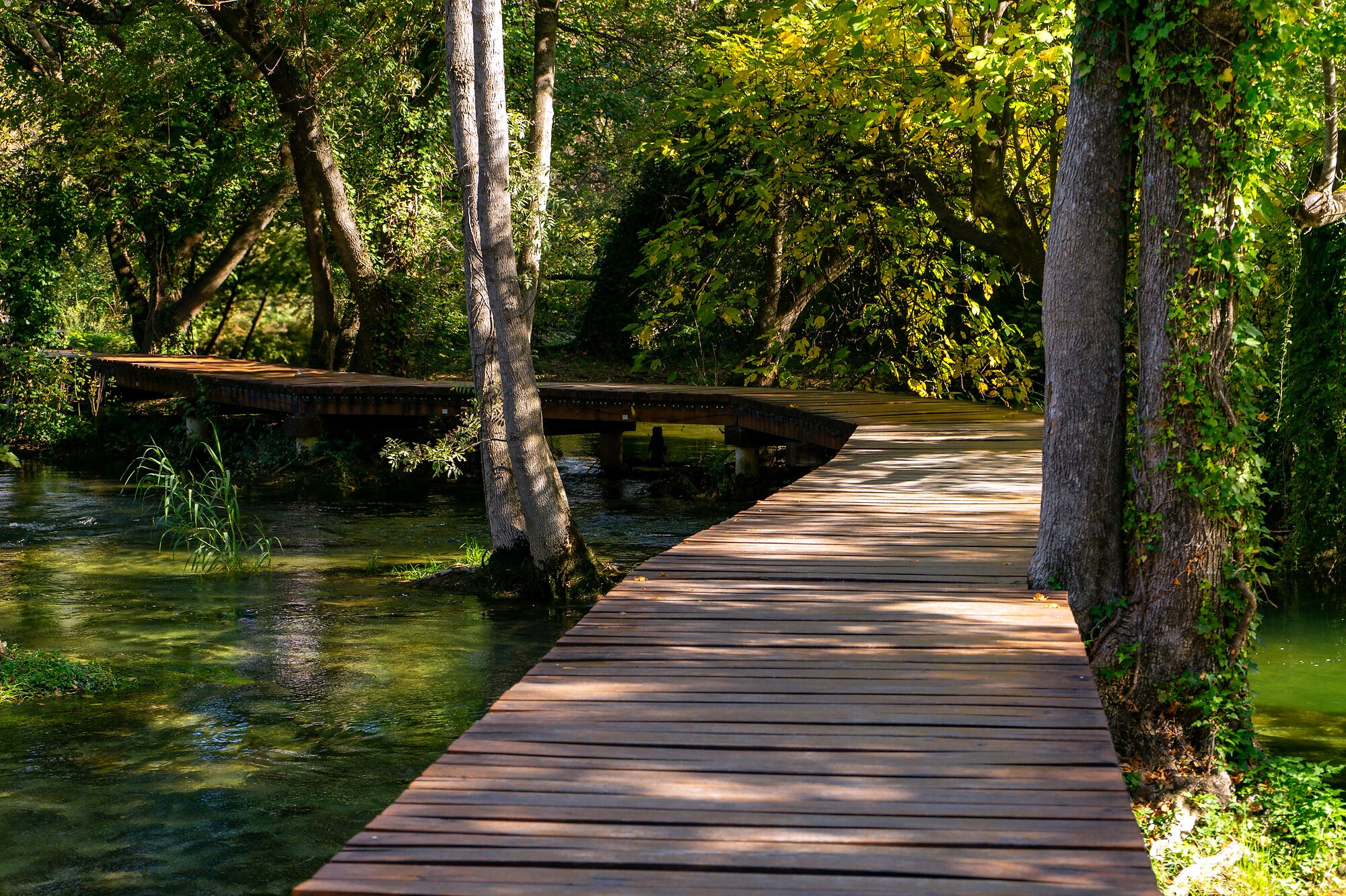 Wooden boardwalk winding through the Krka forest over the river